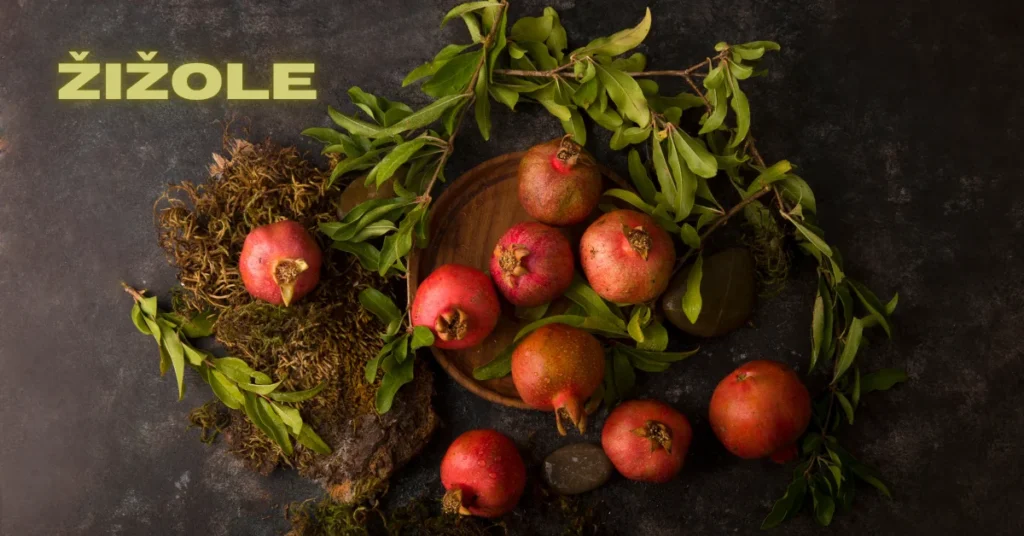 Žižole: A Traditional Delicacy with Modern Appeal