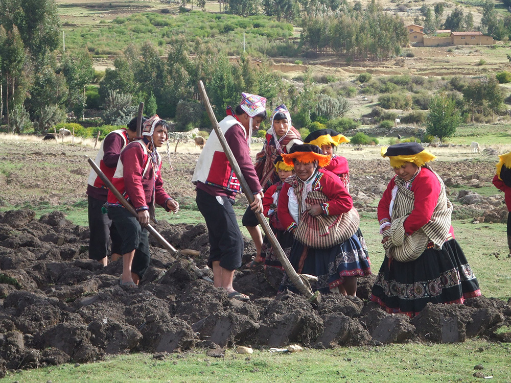 Uncuymaza: The Andean Philosophy of Reciprocity and Community Well-being
