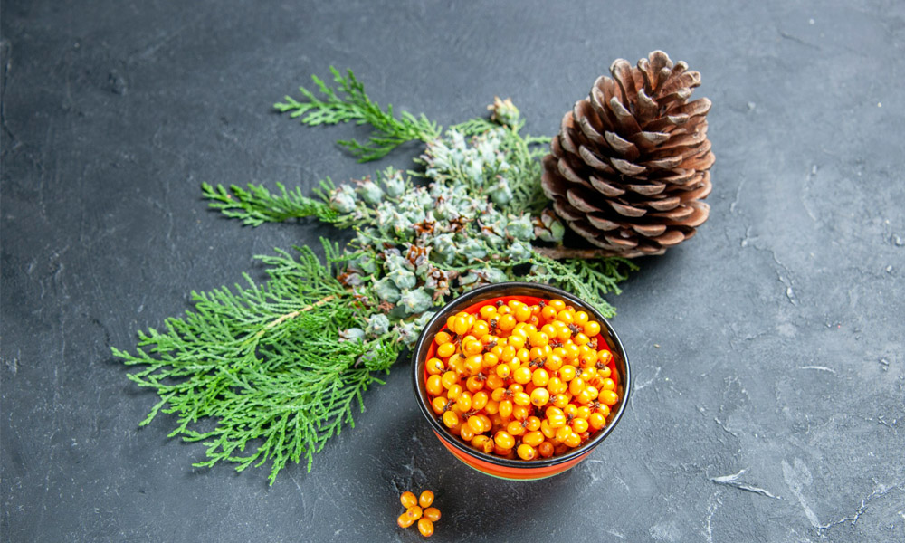 Health Benefits of foenegriek From Digestion to Diabetes Control